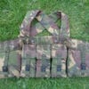 Chest Rig, PLCE Issue, DPM, 'NI', Used - Image 2