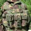 Chest Rig, PLCE Issue, DPM, 'NI', Used - Image 1