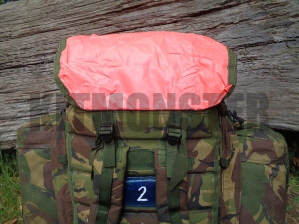 PLCE medical bergen DPM