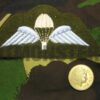 Badge, QL02 Para Wings, Colour - Image 1