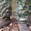 Trousers, Windproof, TRC, Cierzo, Multicamo Gen. 2 (options) - Image 3