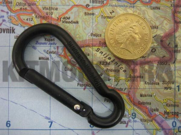 mini-carab-6mm-2-LRG.jpg