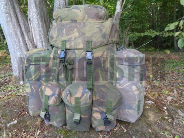 short-back-bergen-tailored-dpm-426 (1)