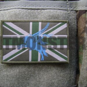 Flag Patch, Large, Velcro, MTP Green, Pegasus, Blue