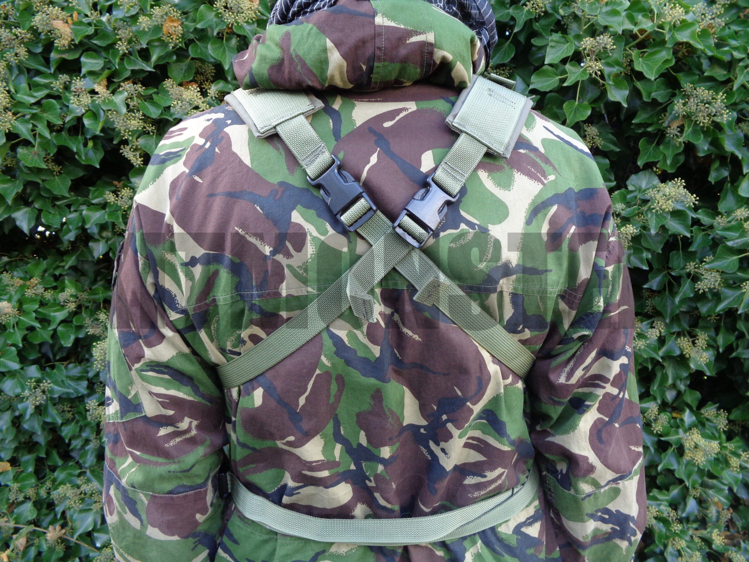 Shellback Chest Rig Chest Rig, Ammunition, Shellback 'Fury', Ranger Green - Kit Monster