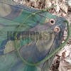 Basha, Shelter Sheet, Tarp, DPM, Custom Hex, Used - Image 9