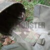 Pouch, Water Bottle, MTP, VIRTUS, Surplus - Image 6