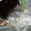 Pouch, Water Bottle, MTP, VIRTUS, Surplus - Image 7